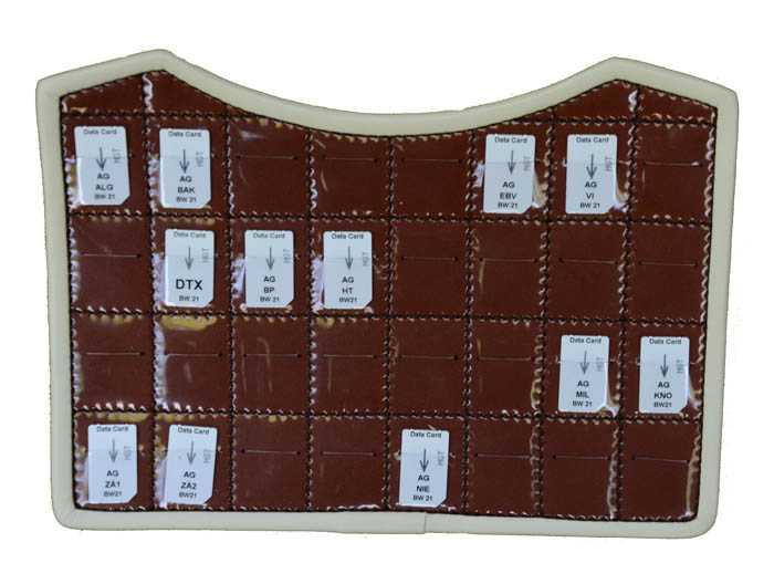Leather storage for 32 frequency chipcards