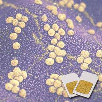 Chipcard Staphylococcus for Zapper Biowave