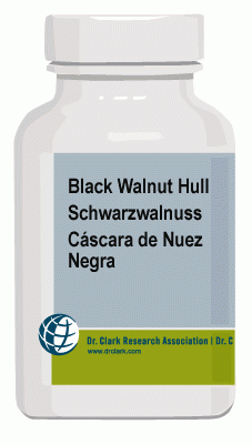 Black walnut capsules for parasite cleanse after Dr. Hulda Clark