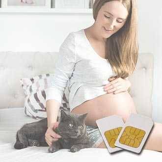 Chipcard TOXOPLASMOSIS for Diamond Shield Zapper