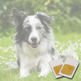 Chipcard PETS for zapper Biowave according to Hulda Clark 