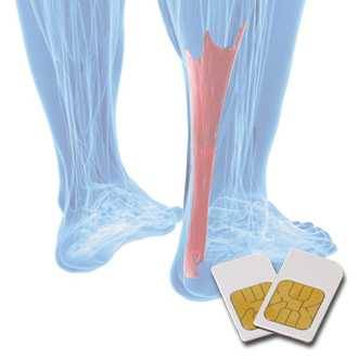 Chipcard LIGAMENTS-TENDONS for Zapper Diamond Shield after Hulda Clark 